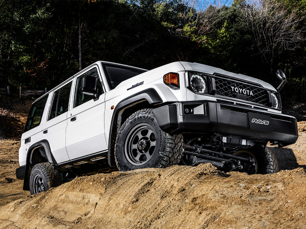 Rays Volk Racing TE37XT LTD