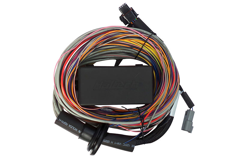 Haltech Elite 550 & 750 Premium Universal Wire-in Harness