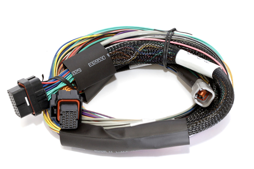 Haltech Elite 1500, 2500 & 2500 T Basic Universal Wire-in Harness
