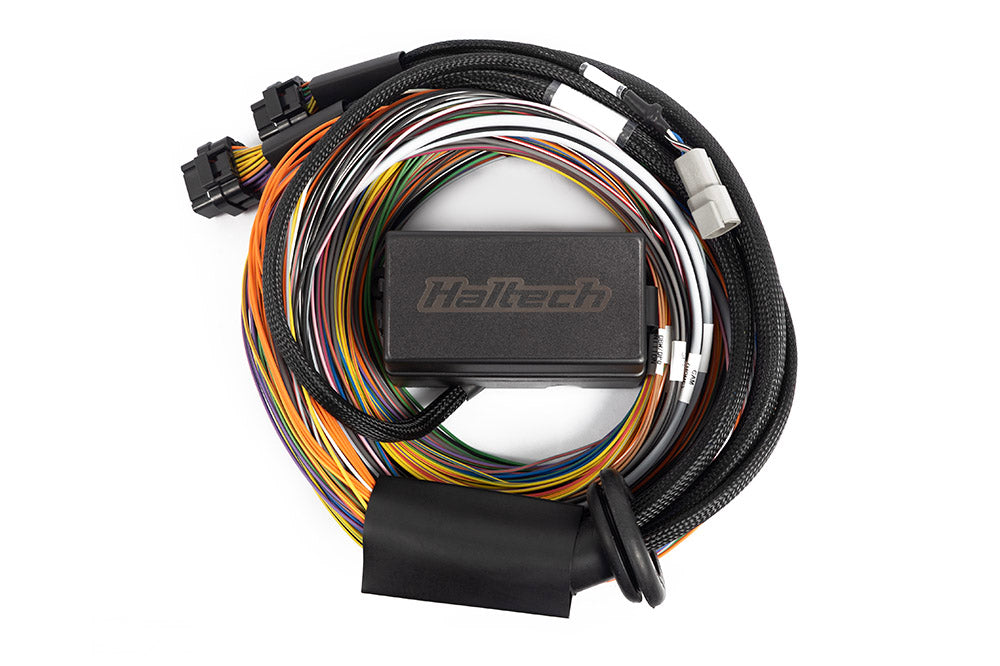 Haltech Elite 1500, 2500 & 2500 T Premium Universal Wire-in Harness - 3M