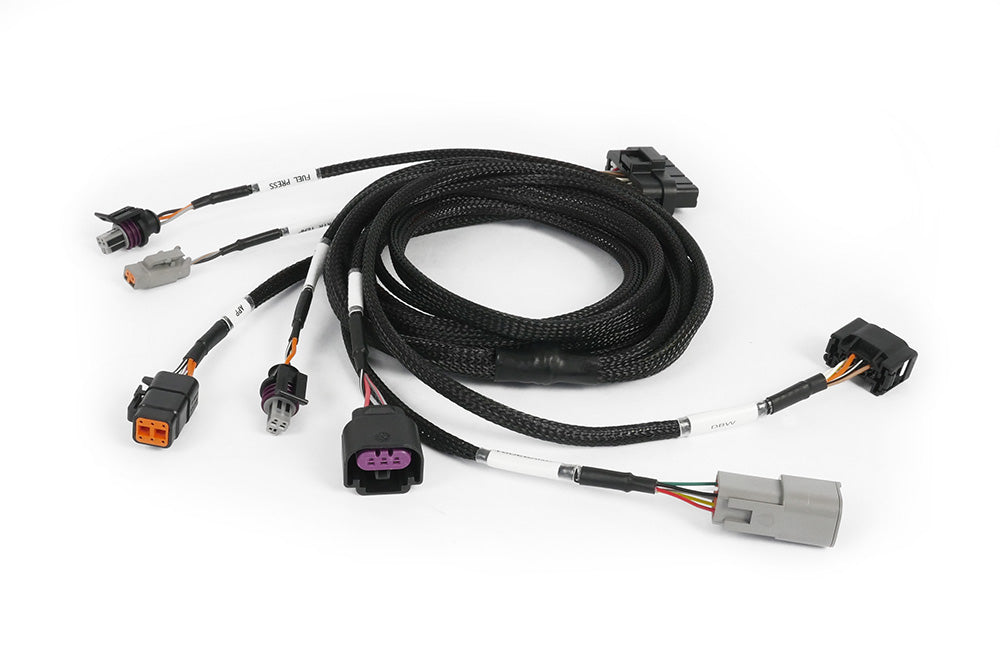 Haltech Nexus Plug-in DBW Expansion Harness 2.5m (8')